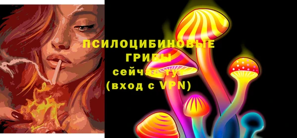 ПСИЛОЦИБИНОВЫЕ ГРИБЫ Абдулино